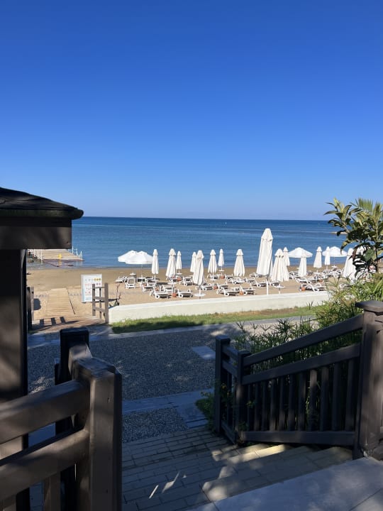 Strand PALOMA Perissia