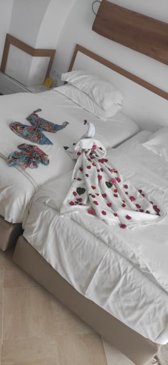 Zimmer TUI MAGIC LIFE Africana