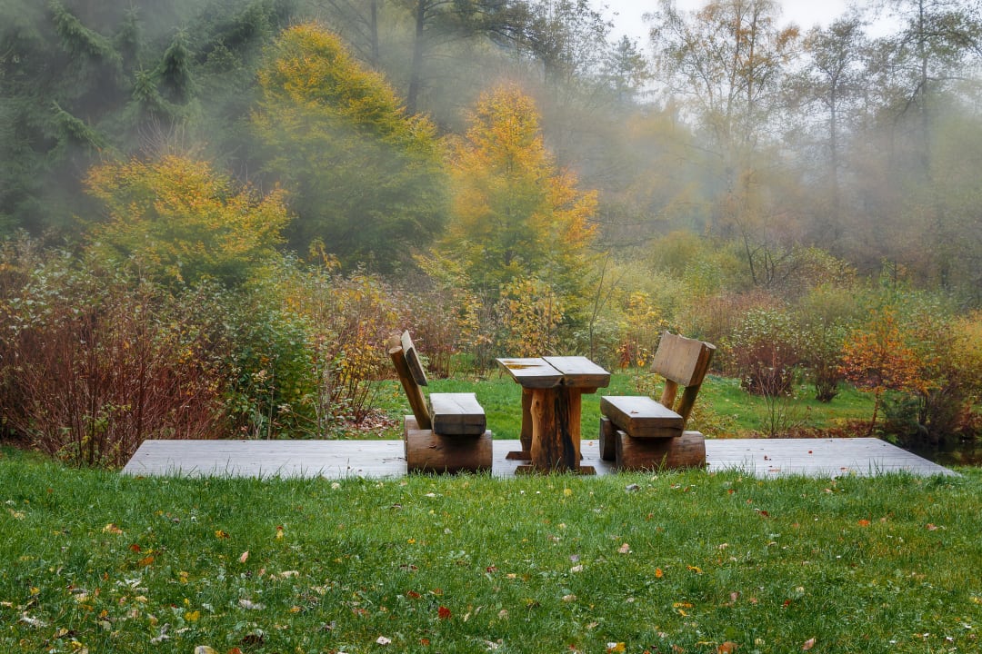 Garten Ferienhaus Lichtung