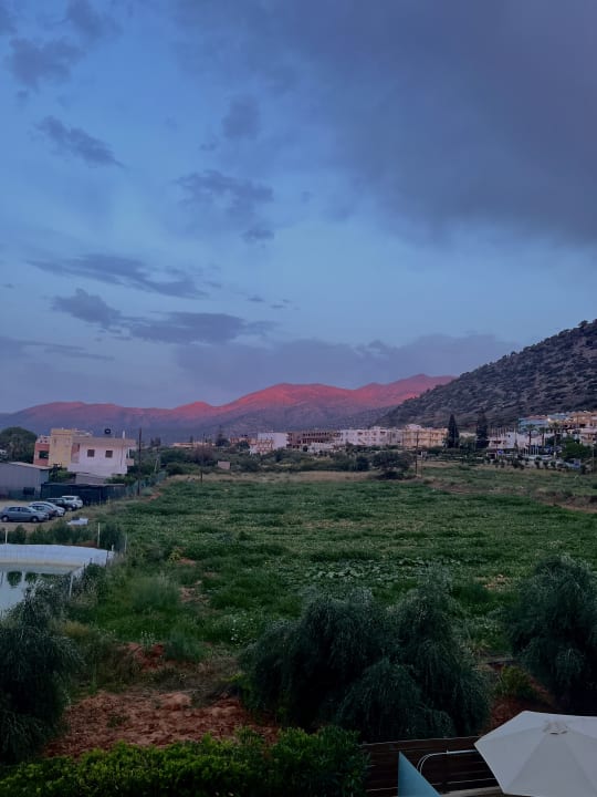 Ausblick Cactus Royal