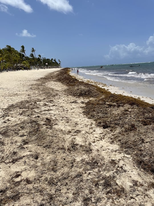 Strand Hotel Riu Palace Punta Cana
