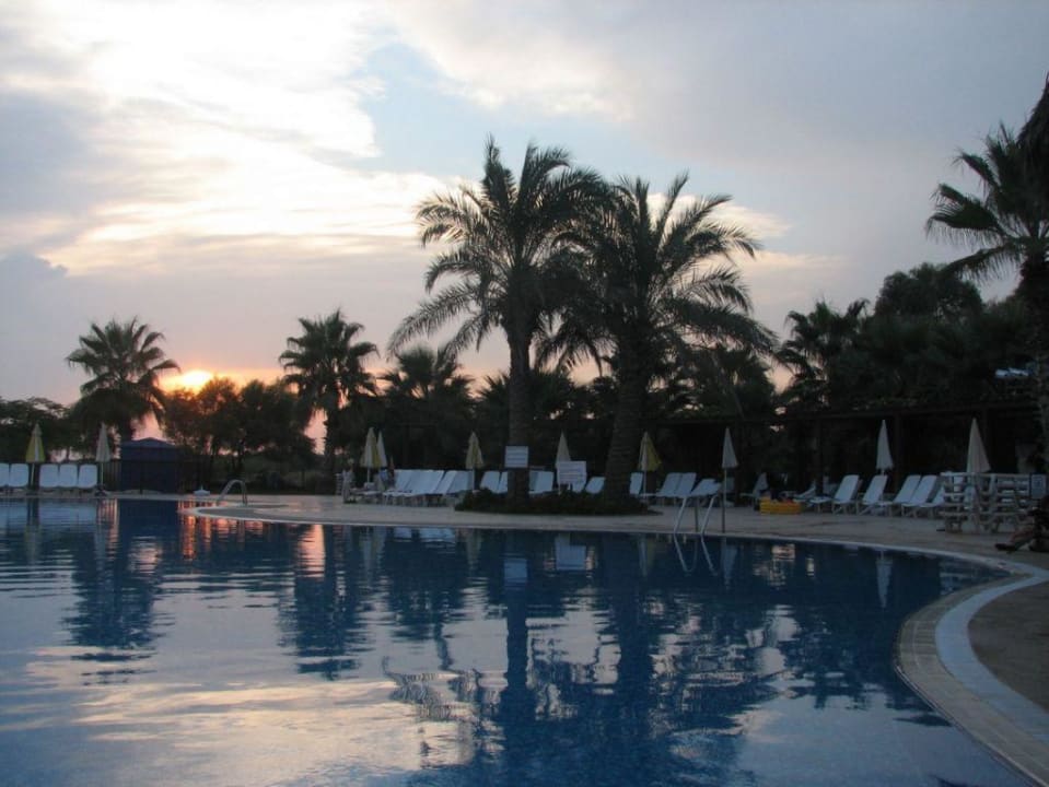 Basen TUI Magic Life Belek