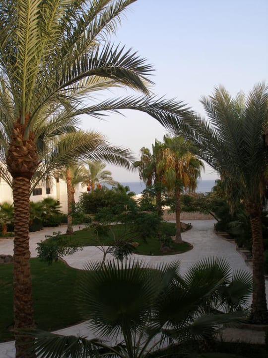 Hotel Sharm Plaza Sharm Plaza