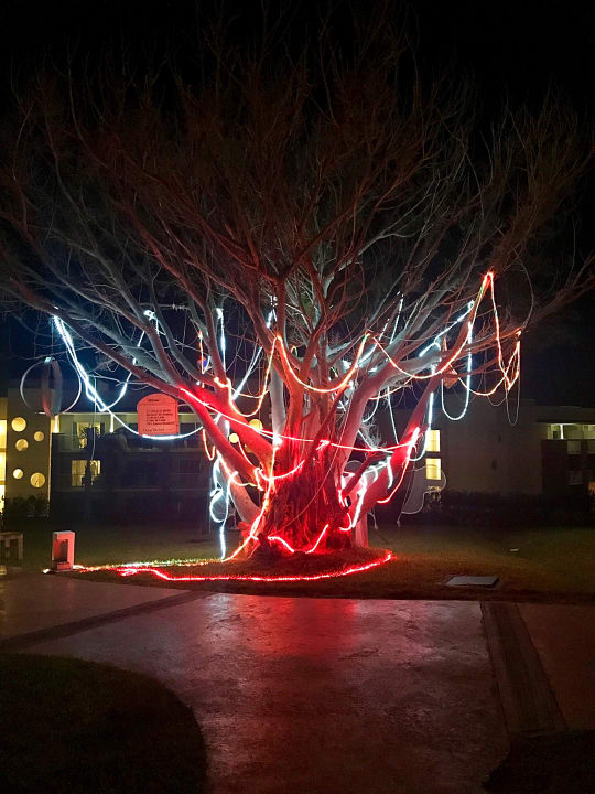 Gartenanlage Playa Vista Azul