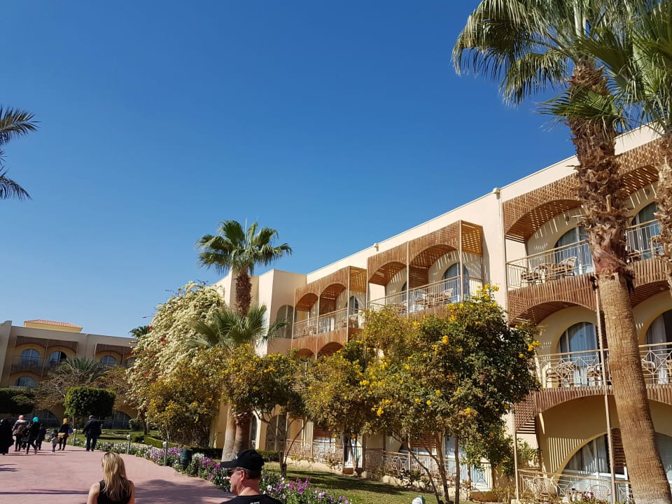 Desert Rose Resort Desert Rose