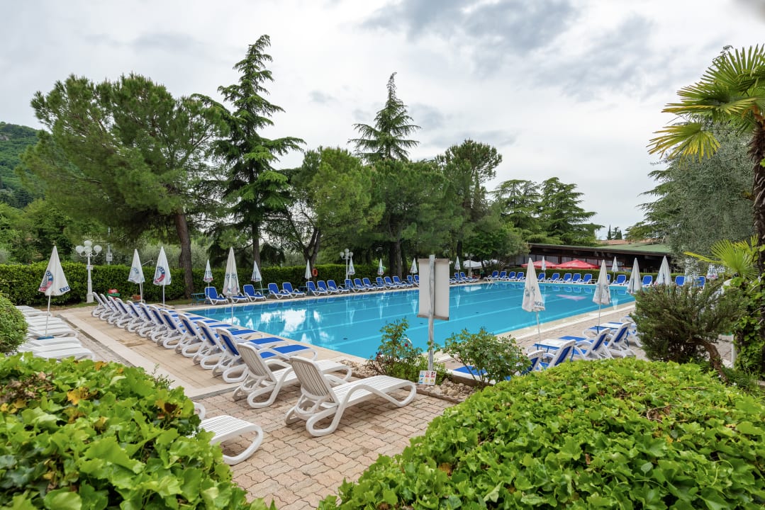 Pool Hotel Royal & Hotel Palme & Suite
