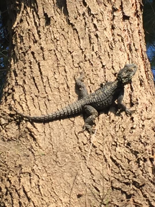 Gartenanlage Labranda Alantur Resort