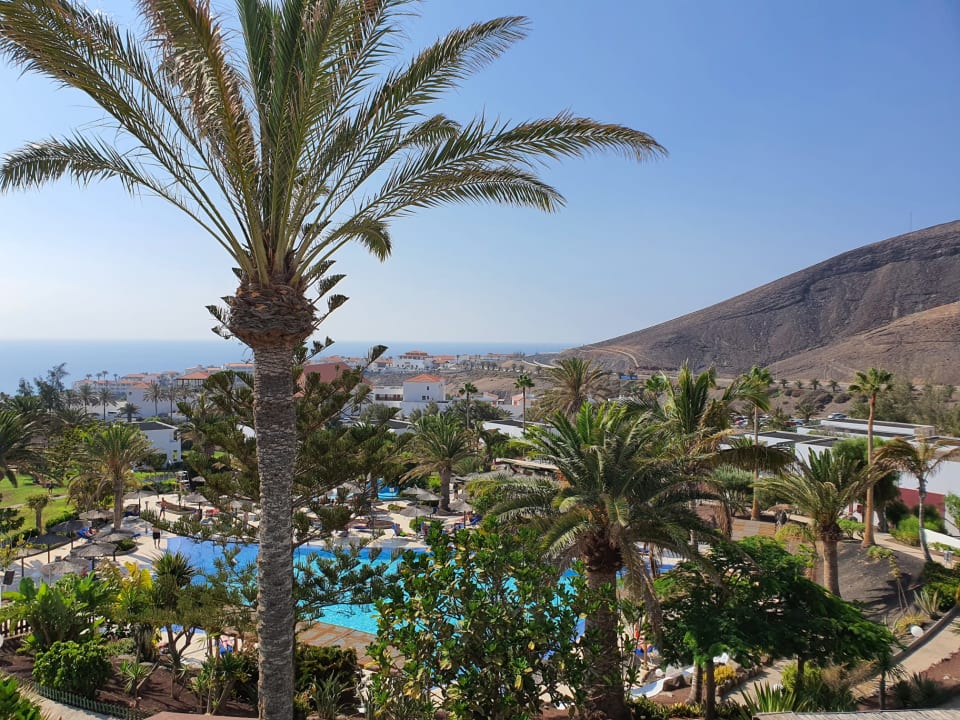 Ausblick allsun App.-Hotel Esquinzo Beach