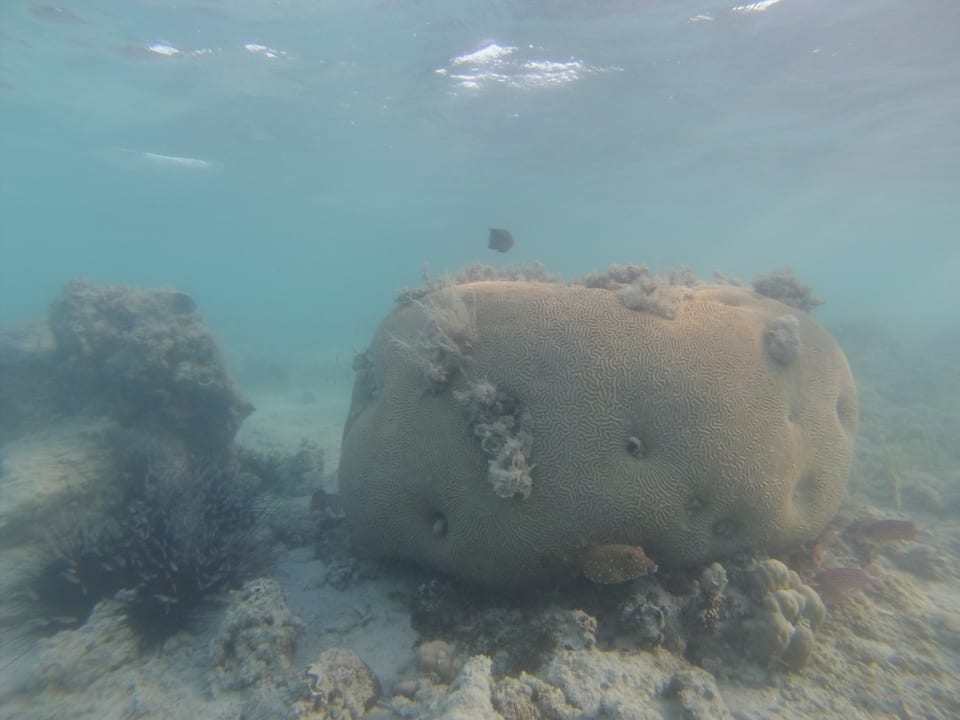 Strand Steigenberger ALDAU Beach Hotel
