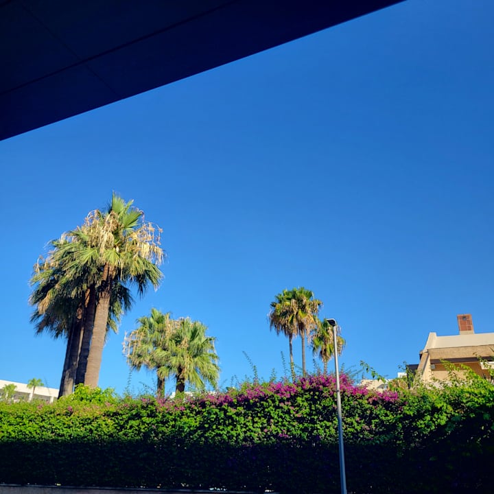 Außenansicht Hotel Riu Bravo