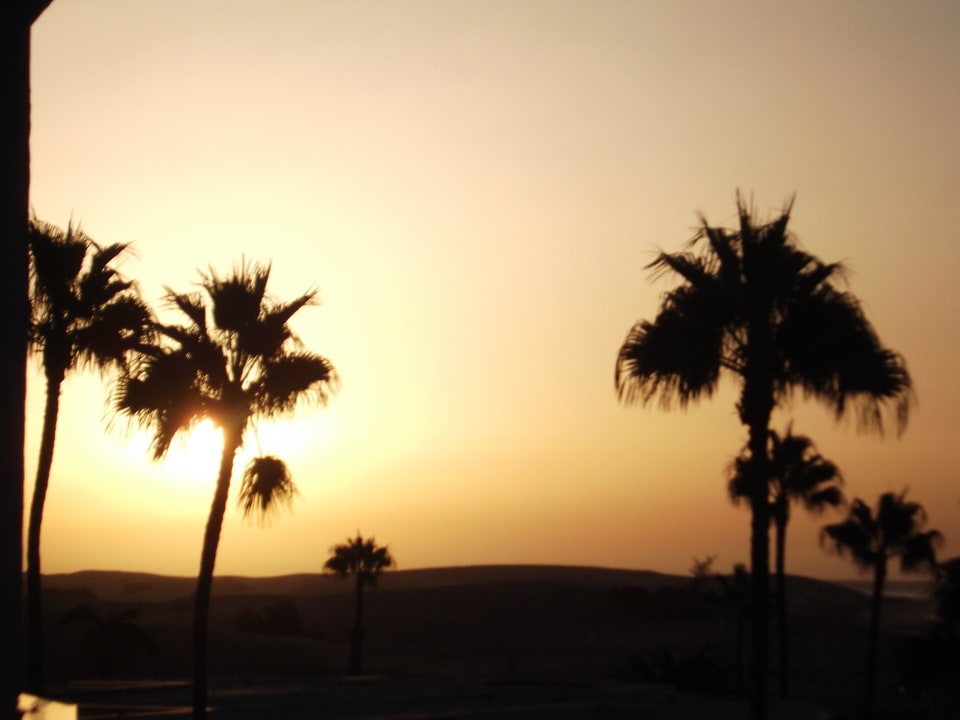 Traumhafter Sonnenaufgang über den Dünen Seaside Hotel Palm Beach