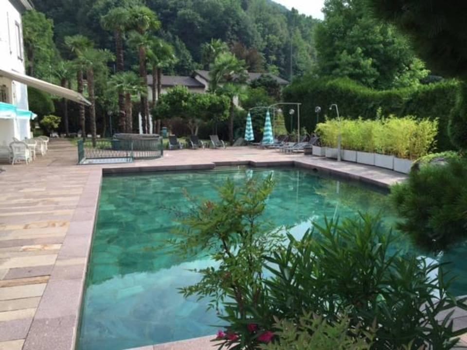 Pool Hotel Albergo Gardenia