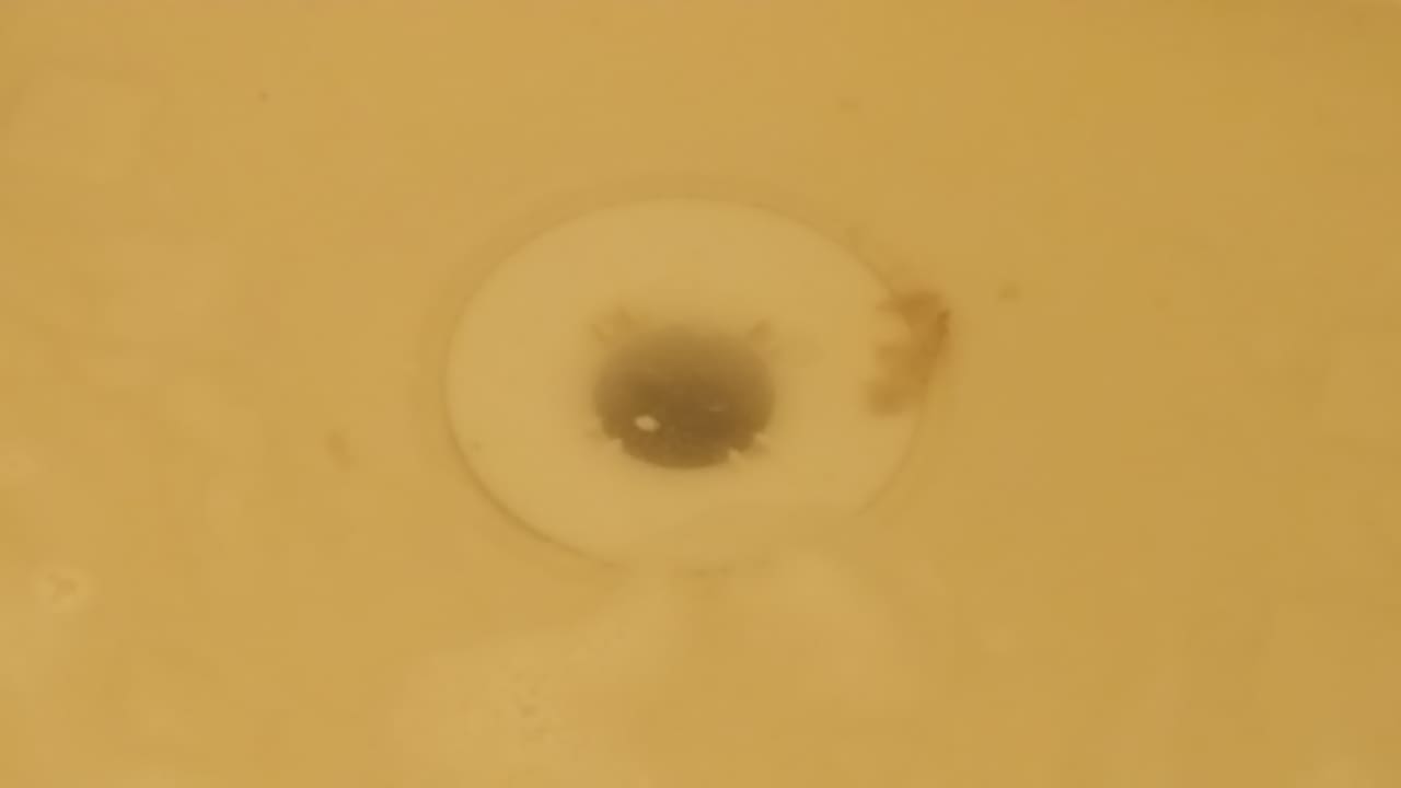 Zimmer Hotel Novotel Nice Centre Vieux-Nice