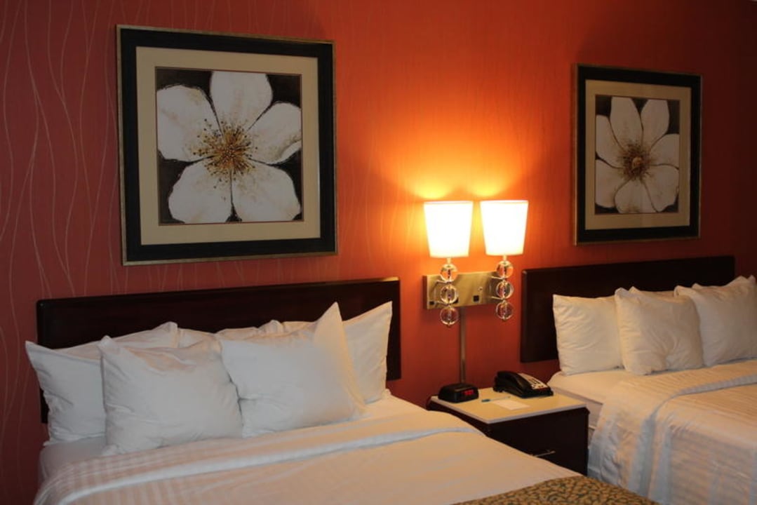 Schlafzimmer Hotel Springhill Suites By Marriott Memphis Downtown
