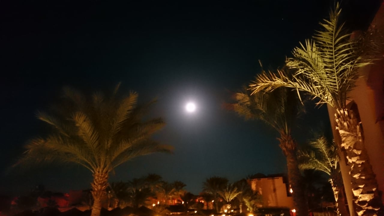 Vollmond im Garten über dem Pool Jaz Makadi Oasis Resort
