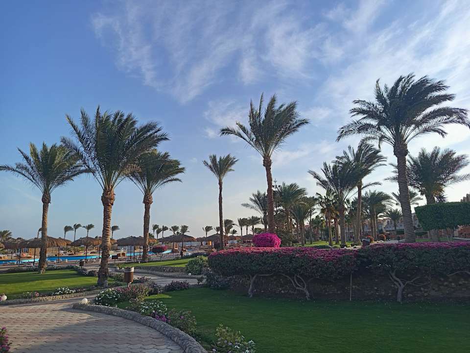 Gartenanlage Three Corners Sea Beach Resort