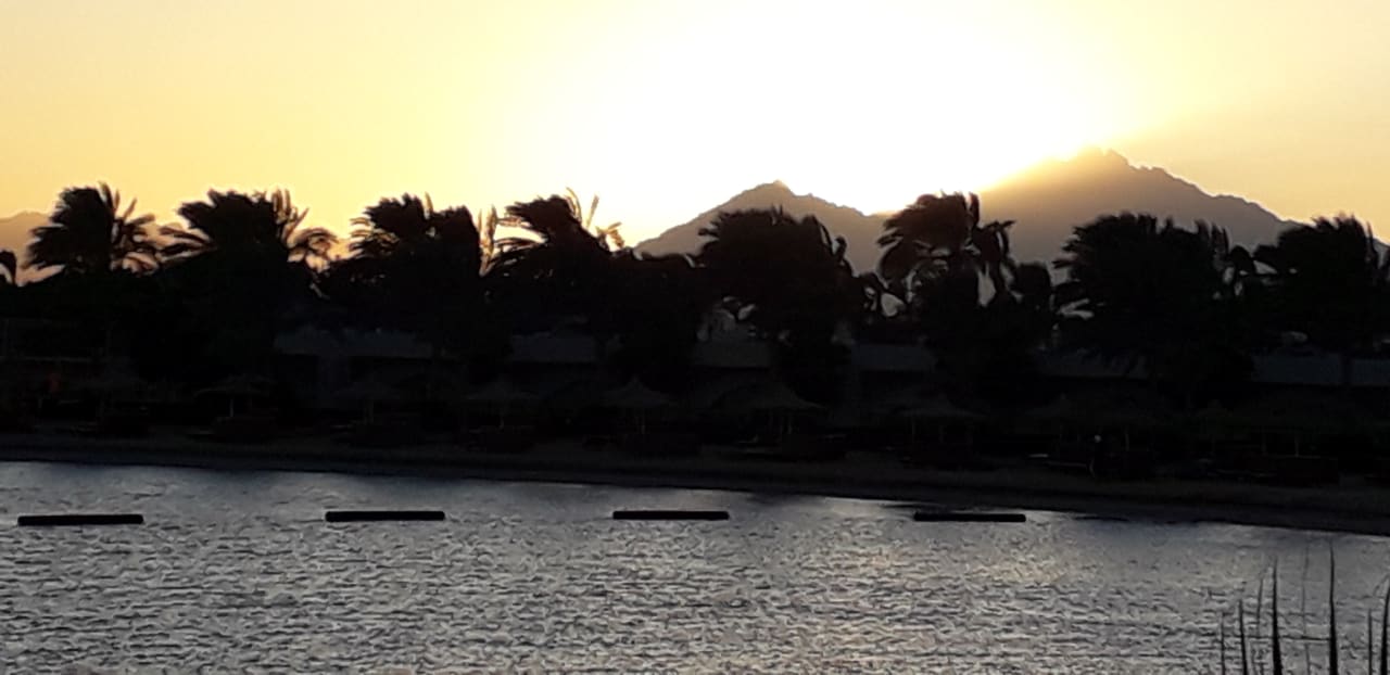 Ausblick Desert Rose