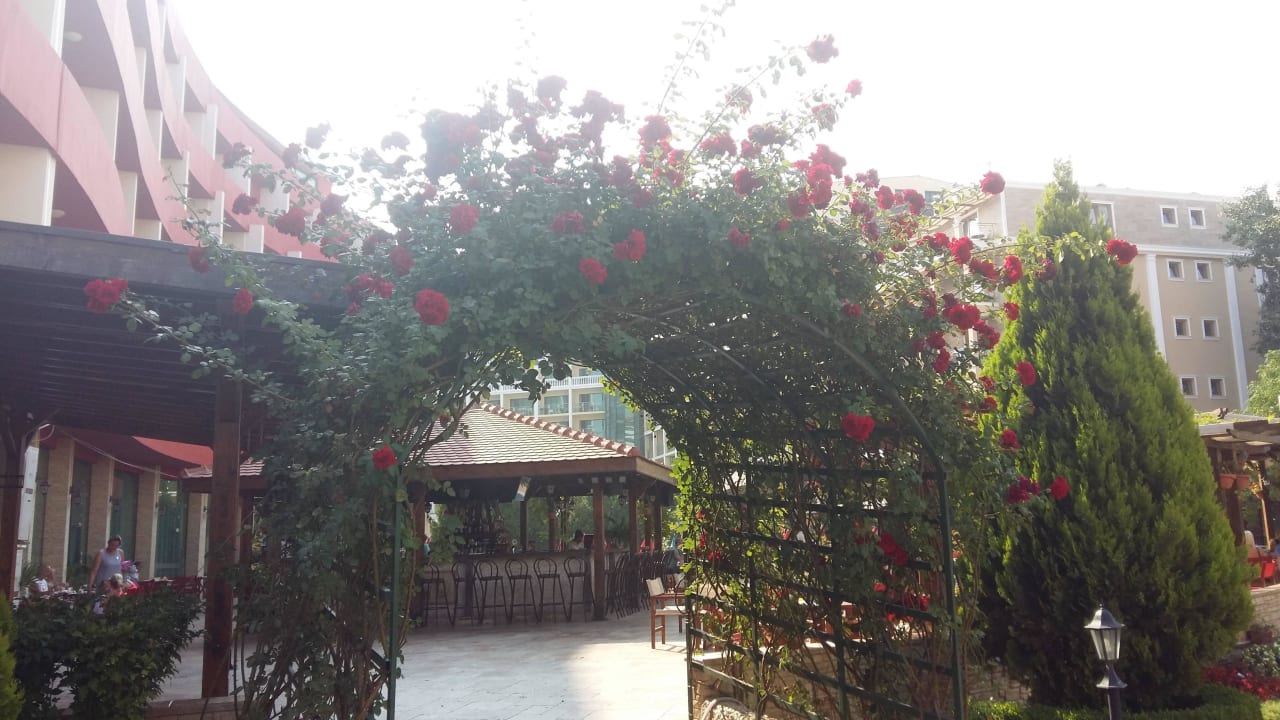 Rosenbogen im Garten Hotel Mena Palace