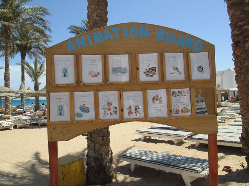 Афиша мероприятий Marlin Inn Azur Resort