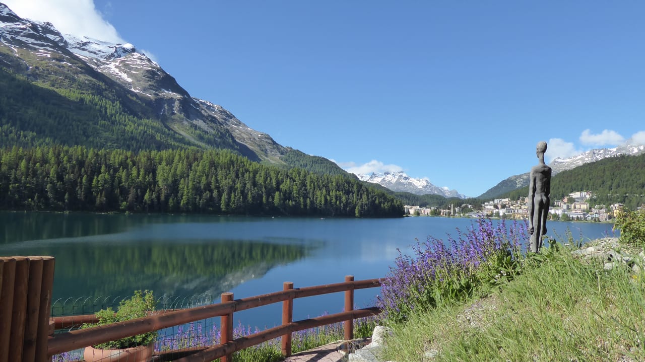 Ausblick Hotel Waldhaus Am See