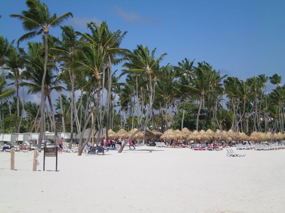 Blick in Richtung Strand vom Level-Bereich Meliá Caribe Beach Resort-All Inclusive