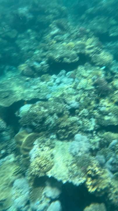 Sonstiges Novotel Marsa Alam Beach Resort