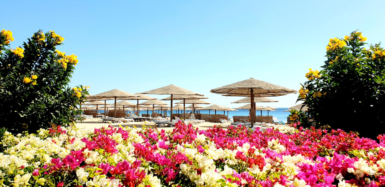 Ausblick Fort Arabesque Resort, Spa & Villas