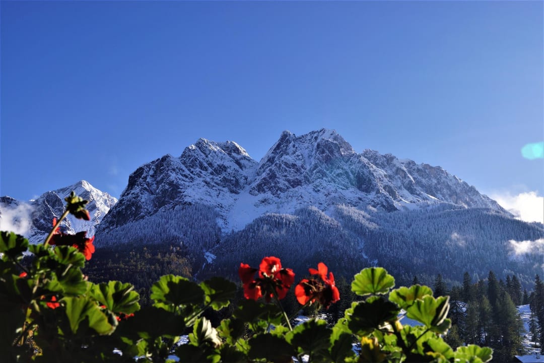 Ausblick Gästehaus Dörfler