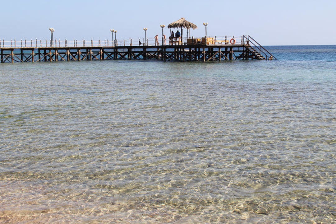 Holzsteg für Taucher und Schnorchler Fantazia Resort Marsa Alam