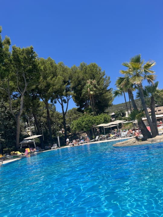 Pool BQ Belvedere Hotel