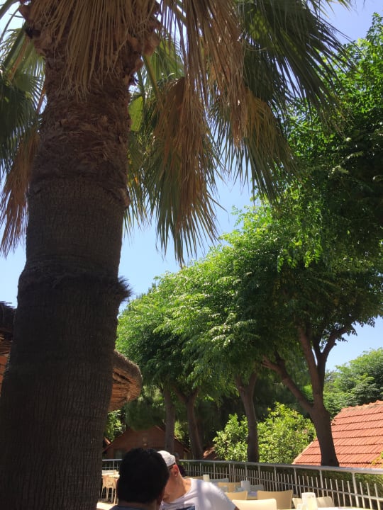 Ausblick Can Garden Beach