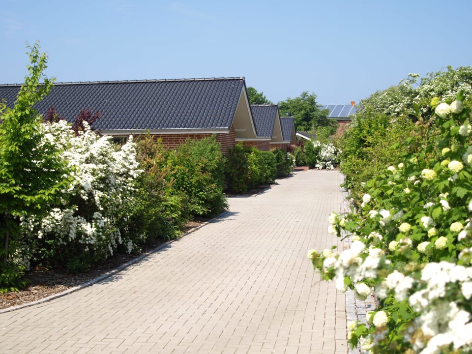 Zufahrt zu den Ferienhäusern "Pferdekoppel" Ferienhäuser Bauernhof Haltermann Landurlaub mit Stil