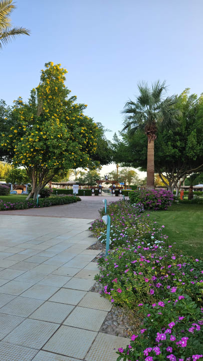 Gartenanlage Desert Rose
