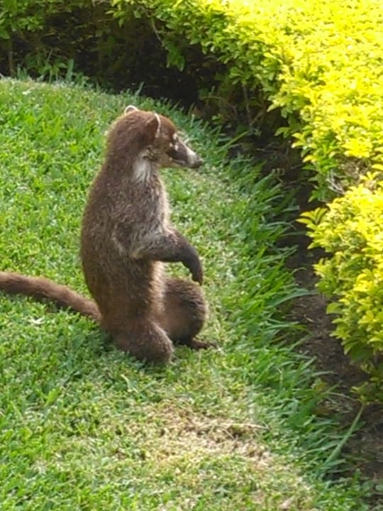 Sonstiges Iberostar Waves Paraiso Beach