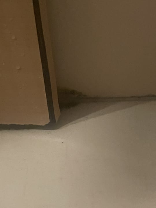 Zimmer Solivia Hotel