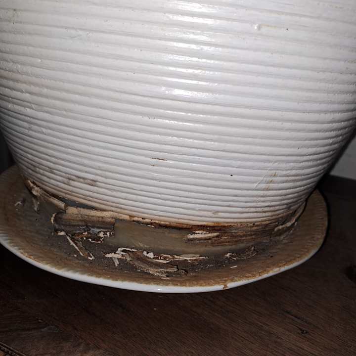 Zimmer Pension an der Elsterbrücke