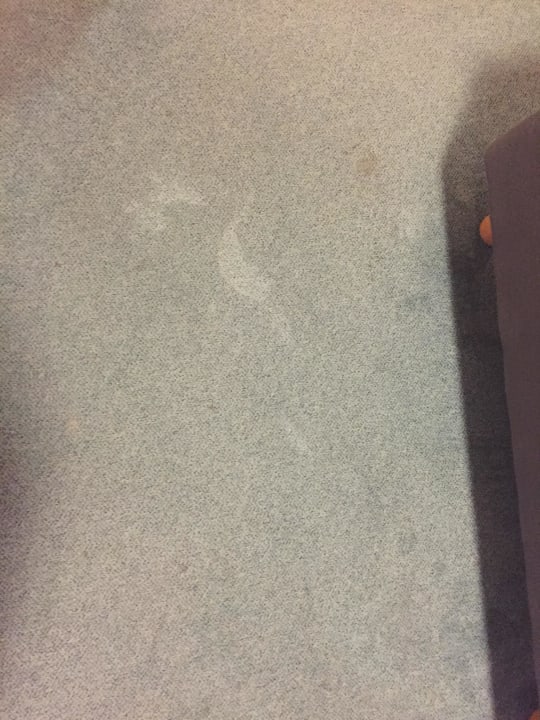 Flecken im Teppich Hotel Am Drömling