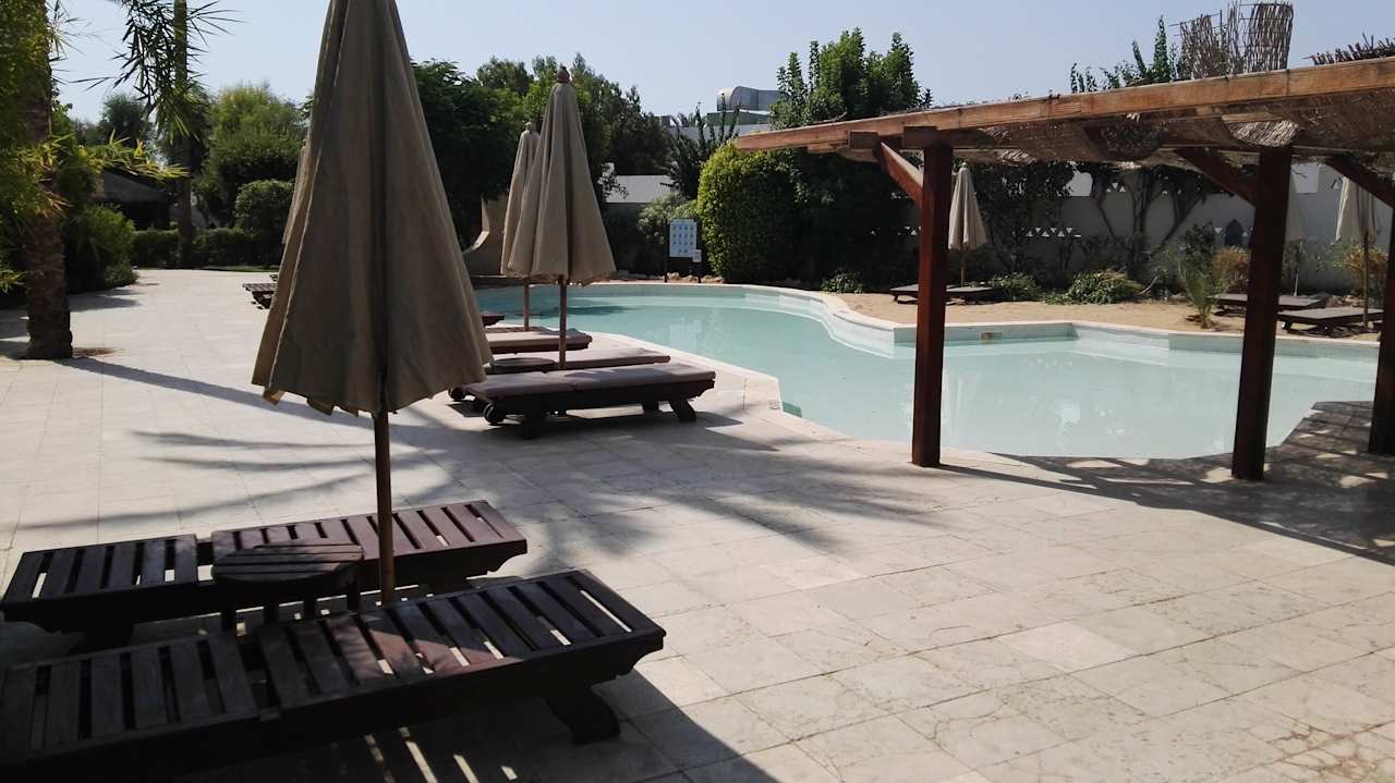 Pool Ghazala Gardens