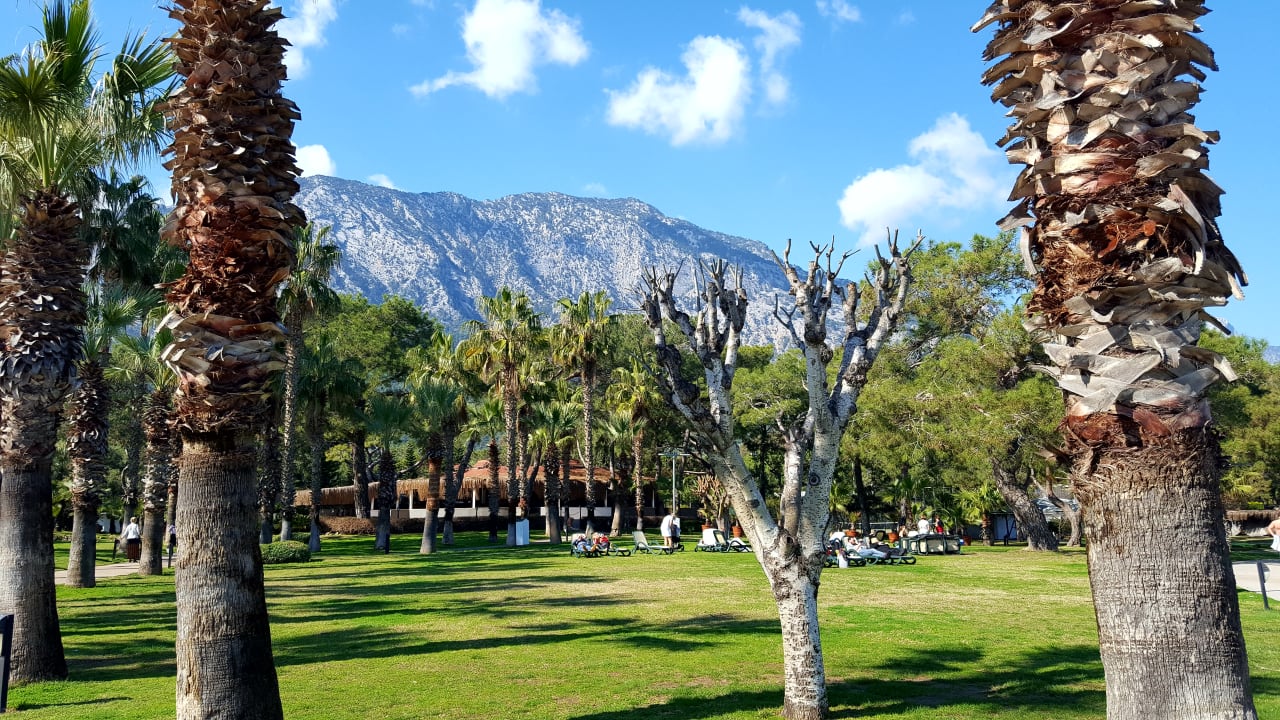 Gartenanlage Balmy Foresta