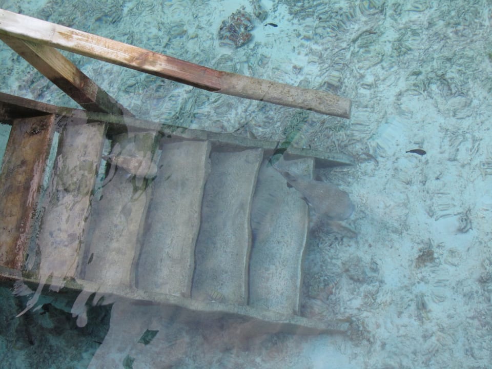 Strand Meeru Maldives Resort Island