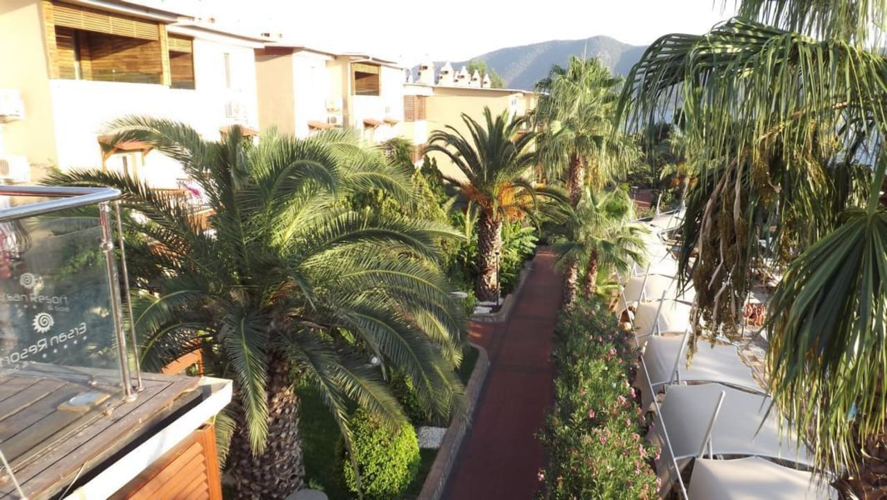 Gartenanlage TUI MAGIC LIFE Bodrum - Adult Only (16+)