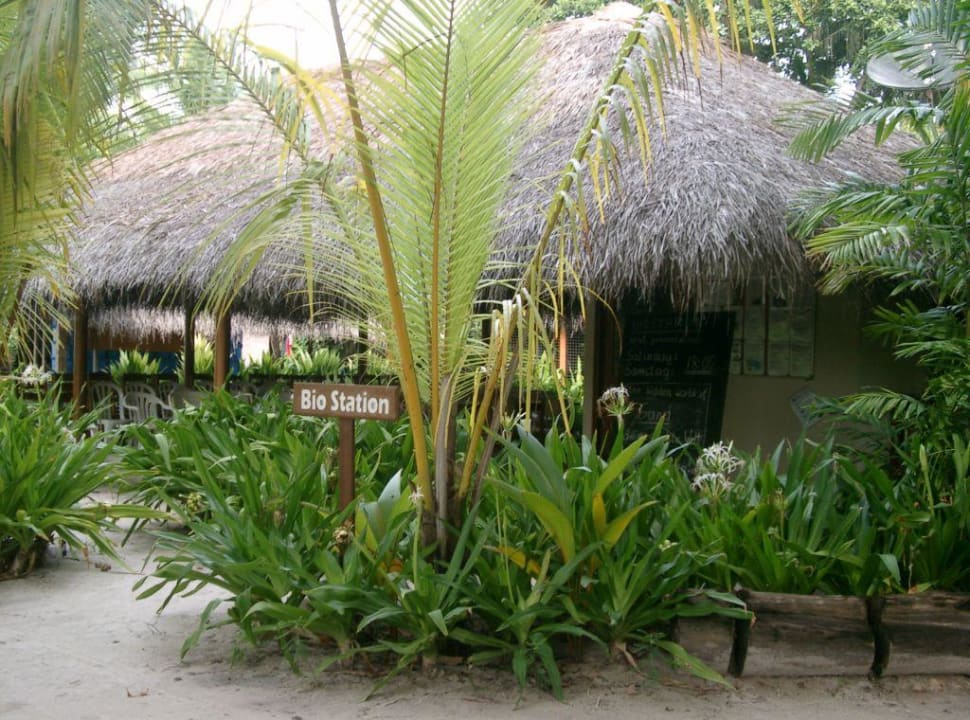 Bio-Station Kuramathi Maldives