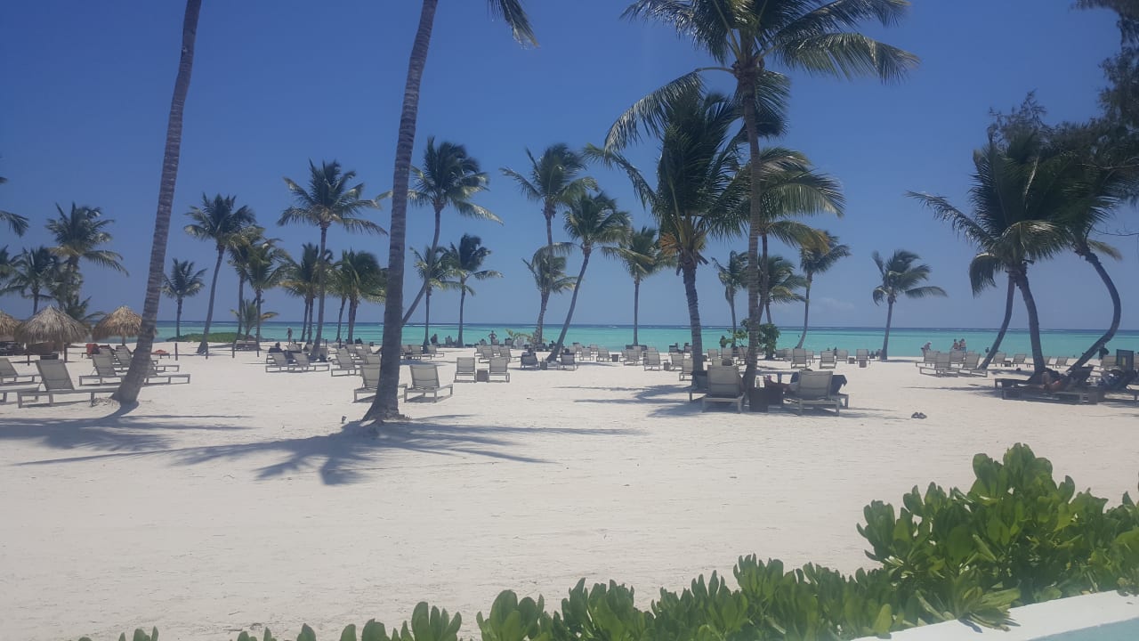 Strand Secrets Cap Cana Resort & Spa - Adults only