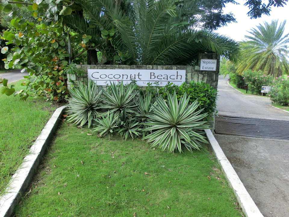 Einfahrt zum Hotel Hotel Coconut Beach Club