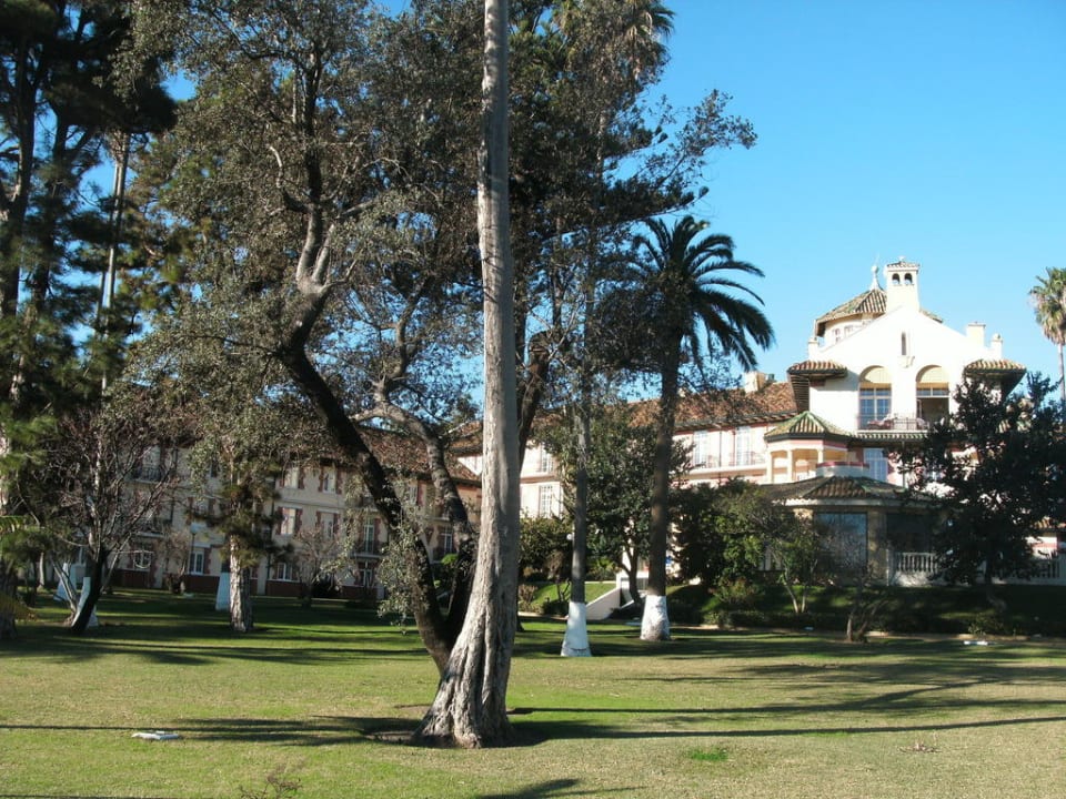 Reina Cristina  Globales Reina Cristina