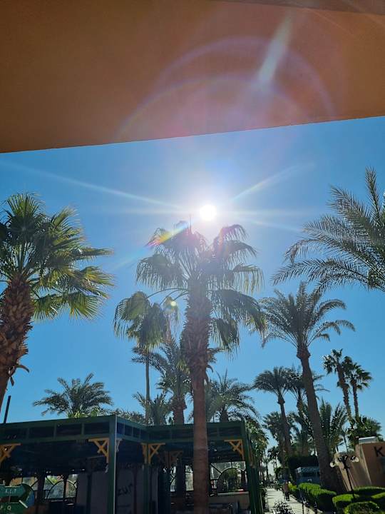 Gartenanlage Giftun Azur Resort