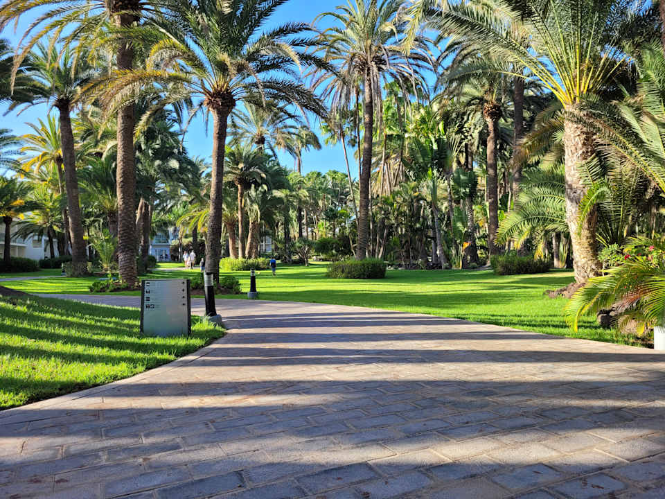 Gartenanlage Hotel Riu Palace Oasis