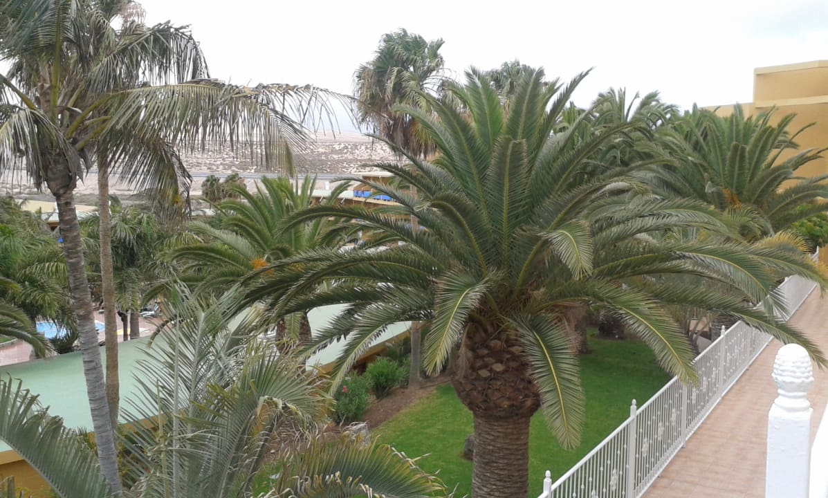 Gartenanlage Club Hotel Drago Park