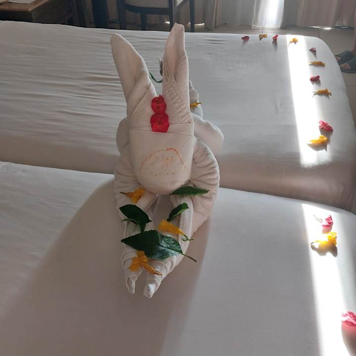 Zimmer Jaz Dar EL Madina