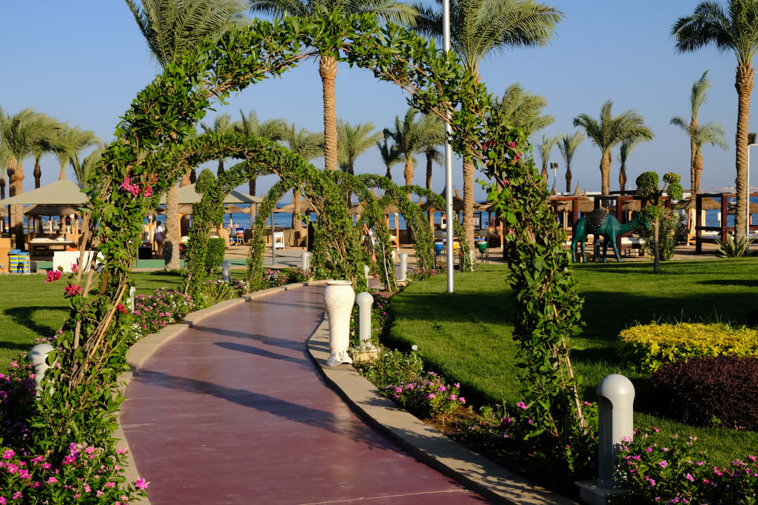 Gartenanlage Pickalbatros Palace Resort